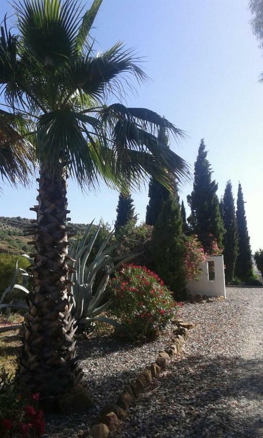 Affittacamere Casa Fuente De La Zorra Alora Esterno foto