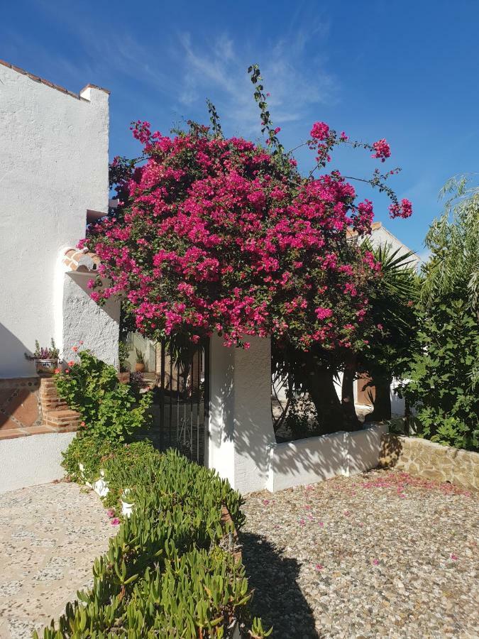 Affittacamere Casa Fuente De La Zorra Alora Esterno foto