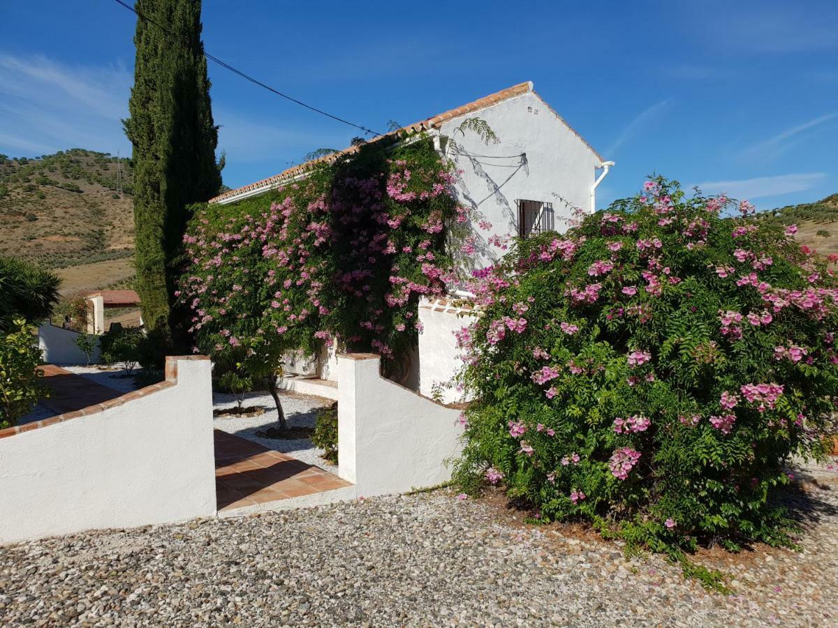 Affittacamere Casa Fuente De La Zorra Alora Esterno foto