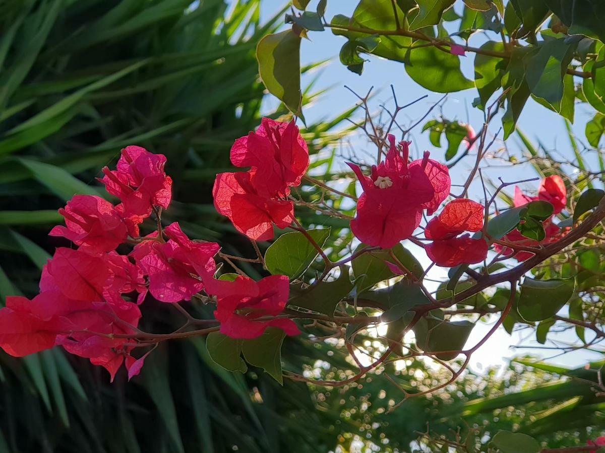 Affittacamere Casa Fuente De La Zorra Alora Esterno foto